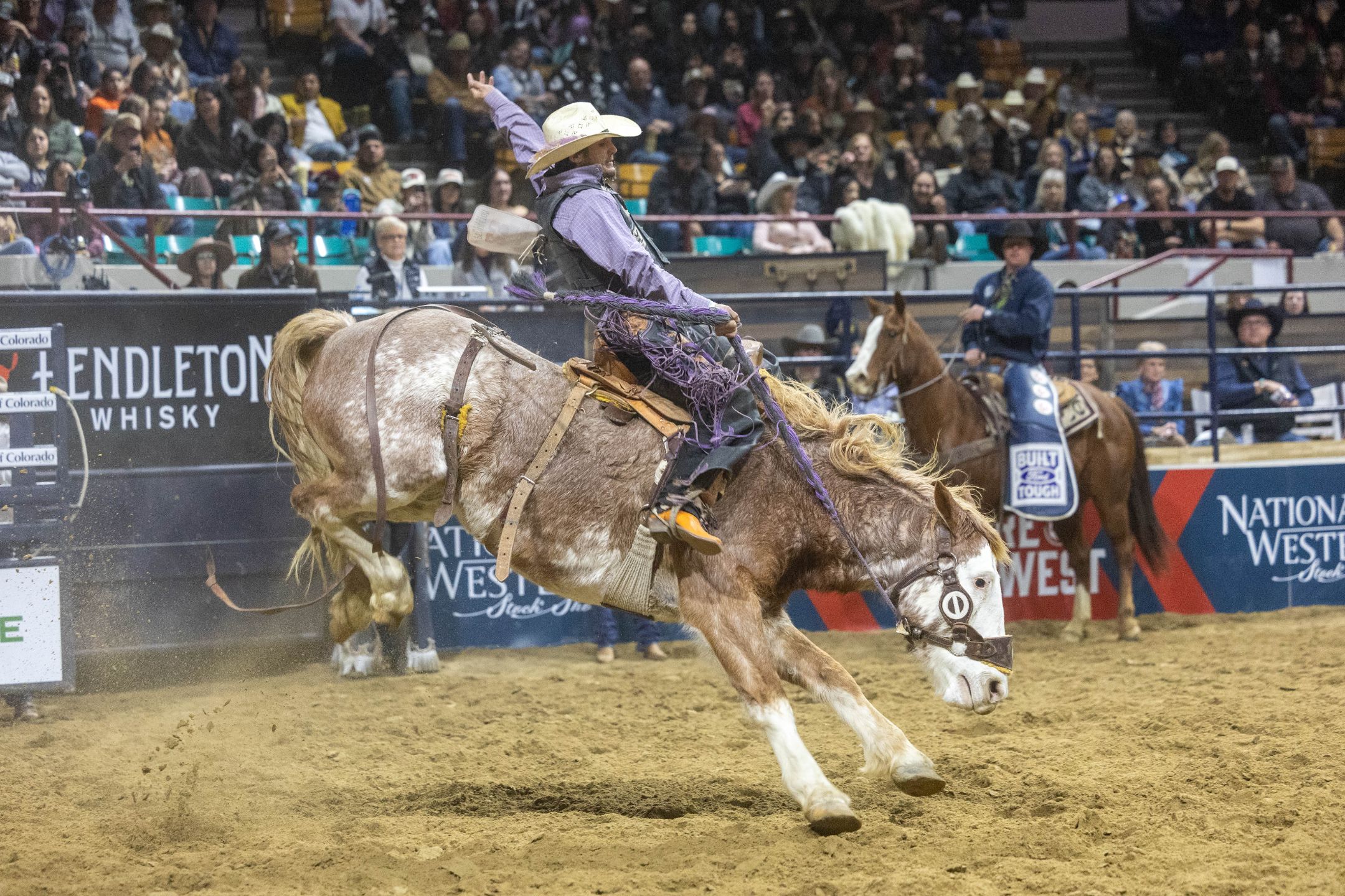 Bronc 2026